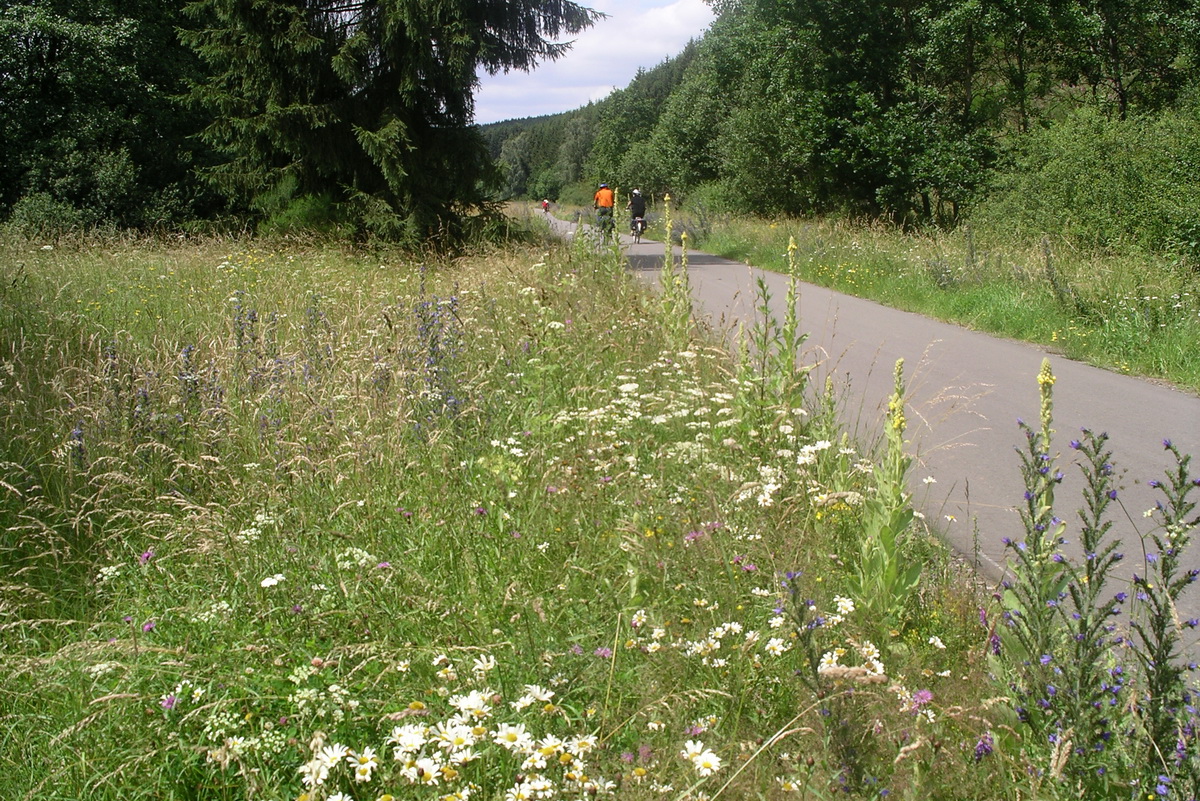 Radweg Bleialf